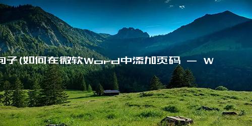 愿句子(如何在微软Word中添加页码 - Word页码添加方法)